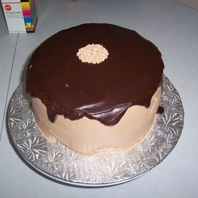 Chocolate Ganache Mousse Cake