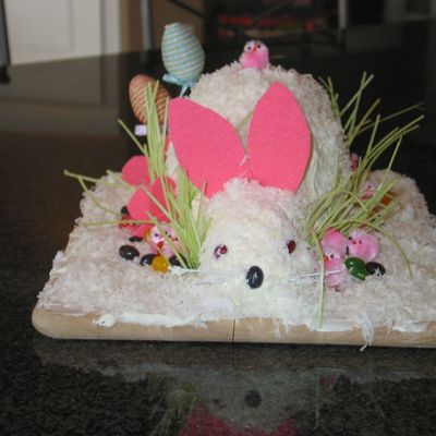 My Sisters First Easter Bunny Cake