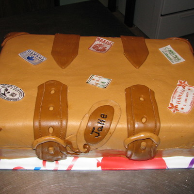 Passport Suitcase