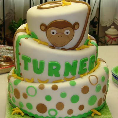 Welcome Baby Monkey Topsy Turvy