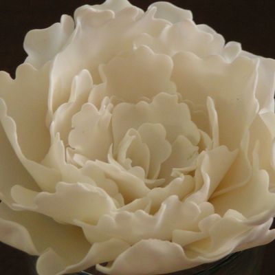 First Peony