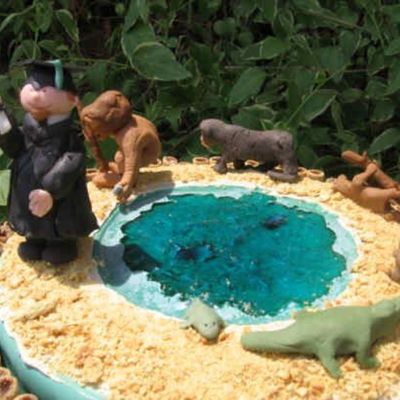 Evolution Of A Graduate