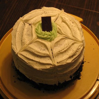 Mint Chocolate Cake