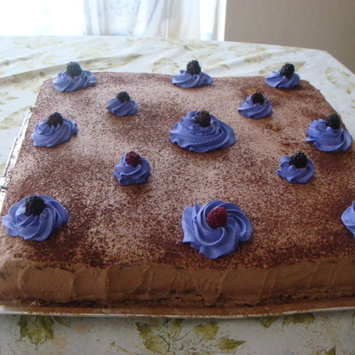 Chocolate With Blackberries