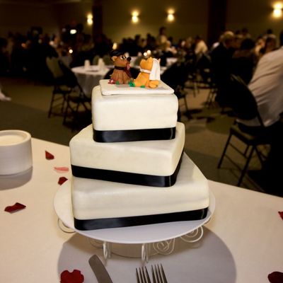 Cat And Dog Bride And Groom!