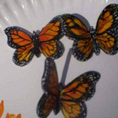 Butterflies