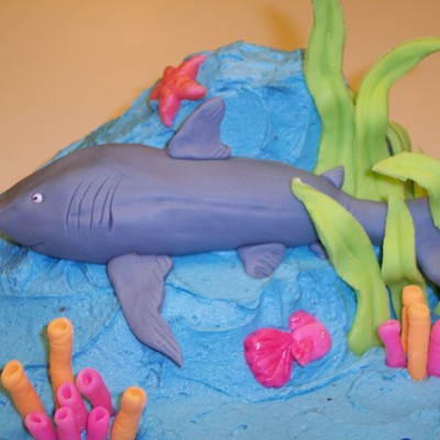 Ocean Cake