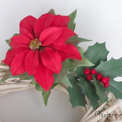Poinsetta