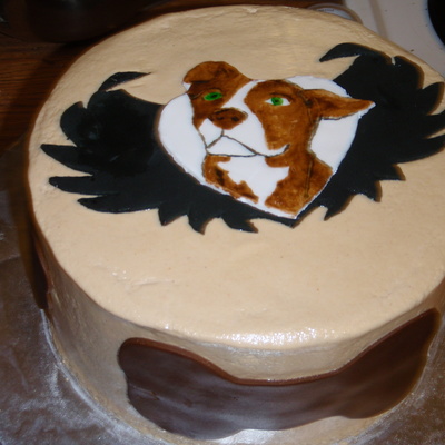 Dog Rescue Anniversary