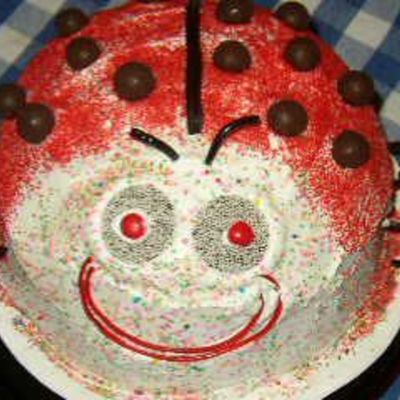 Neva's Ladybug Cake