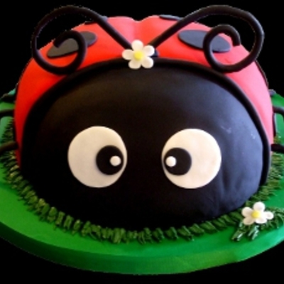 Ladybug Birthday Cake