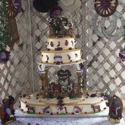 Tj & Tommy's Western Cake