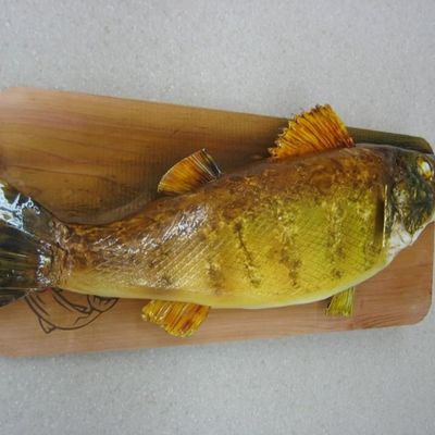 Walleye