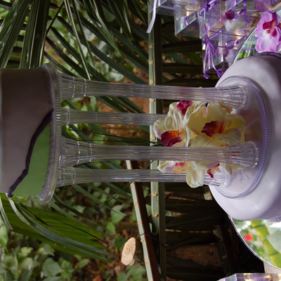 Wedding Anniversay - Vow Renewal