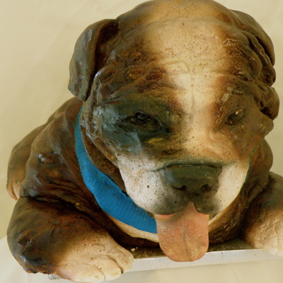Butch The Dog