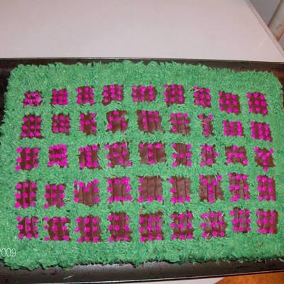 Farmville Cake