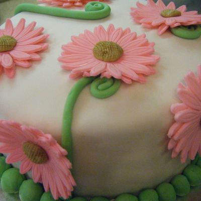 Daisies For Daisy