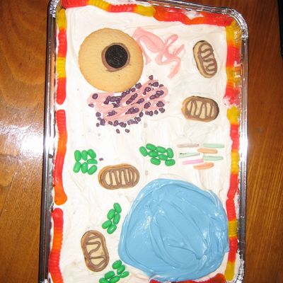 Plant Cell