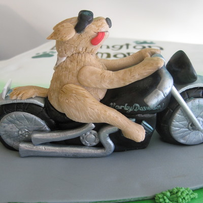 Dog On A Motorcycle