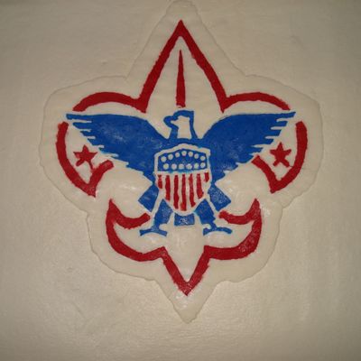 Boy Scouts Blue And Gold