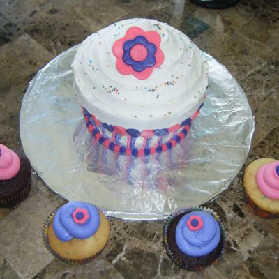 Giant Cupcake & Cupcakes