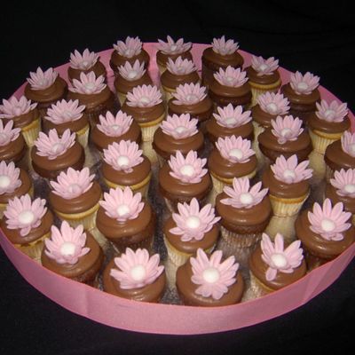Choc_Cuipcakes.jpg