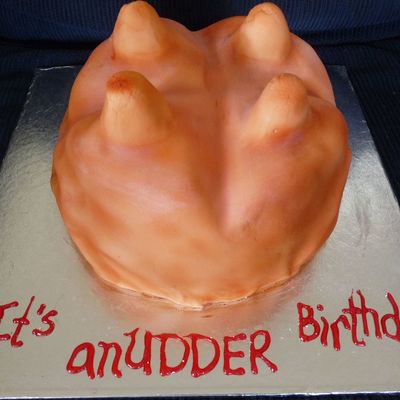 Udder Cake