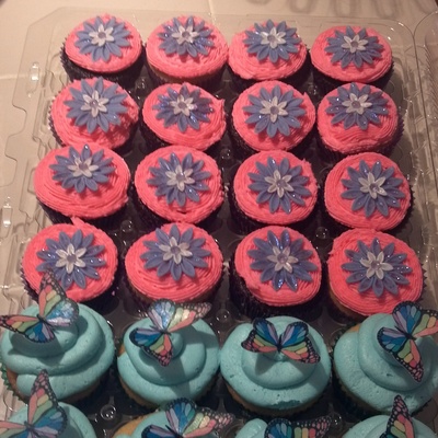 Butterflies & Flowers