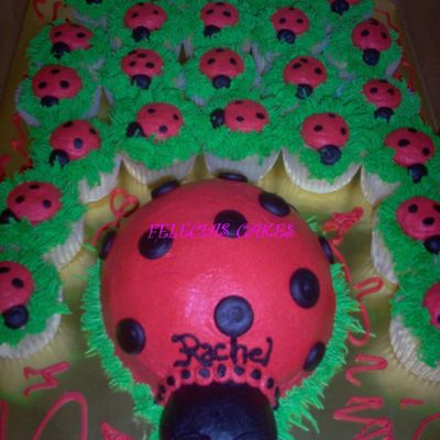 Ladybug And Cupcakes