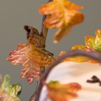Fall Bday Cake