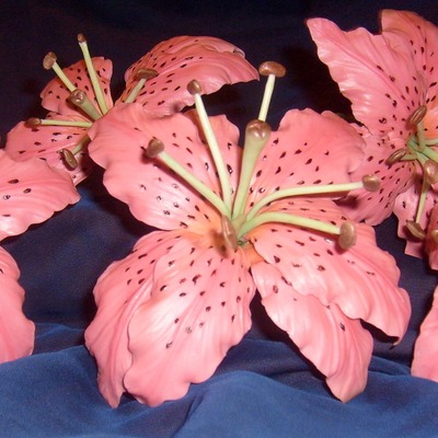 Stargazer Lilies