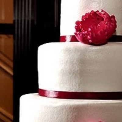 Cindy & Steve's Wedding