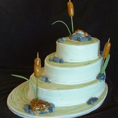 South African Clawed Frog 40Th Birthday Cake