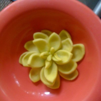 My First Flower Ever! :]