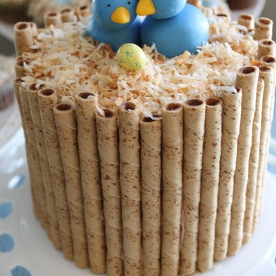 Bluebird Expecting Parents