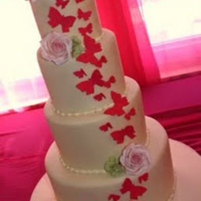Fuchsia Butterfly Cake!