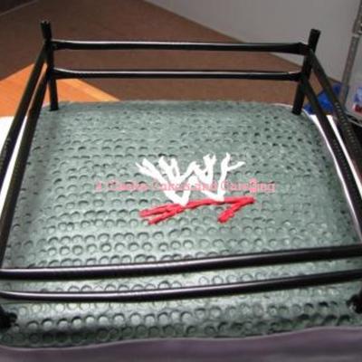 Wrestling Cake