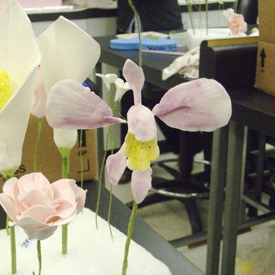Gumpaste Flowers