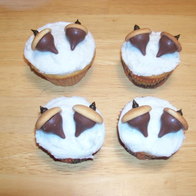 Acorn Cupcakes