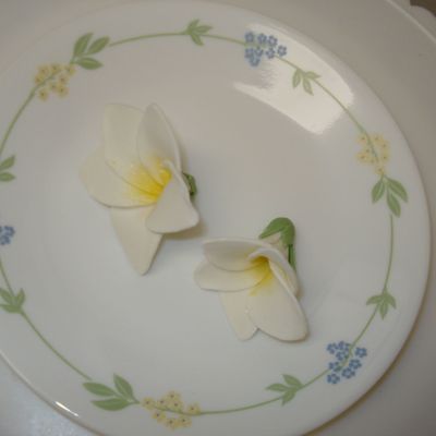 Plumeria Gumpaste Flowers