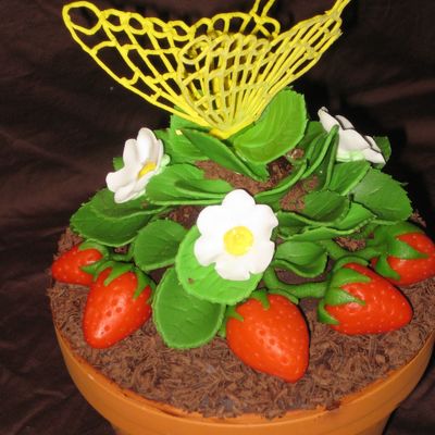 Strawberry Plant