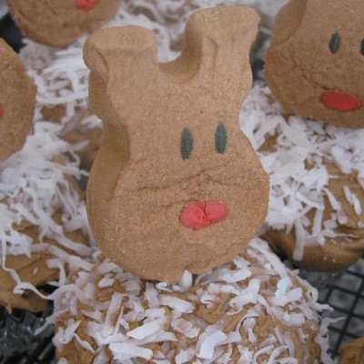 Moose Cupcake