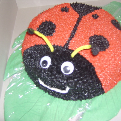 Ladybug