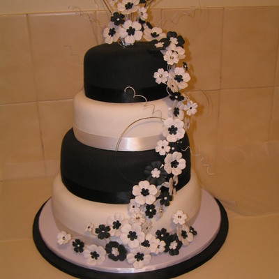 Black Andwhite Elegance