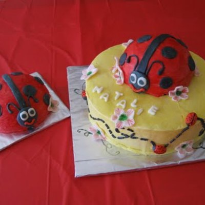 Lady Bug Cake And Smash Cake