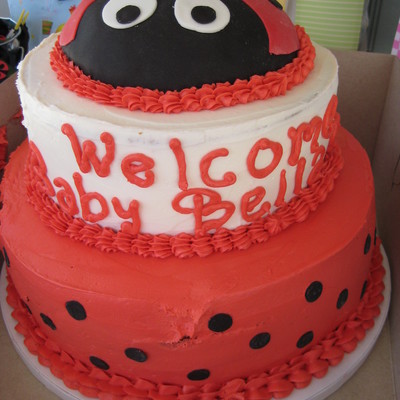 Lady Bug Cake