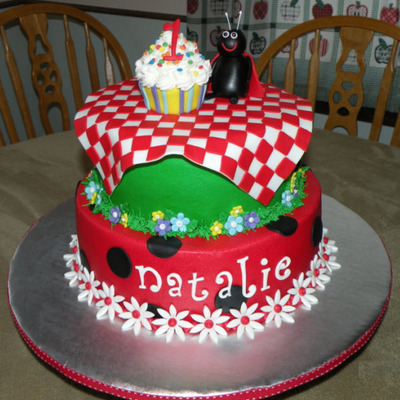Ladybug Picnic 1St Birthday