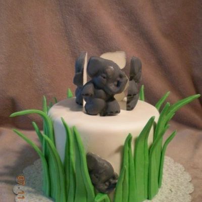 Elephant Cake