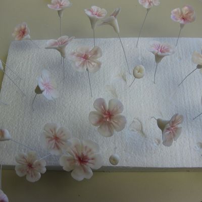 First Attemp At Cherry Blossoms