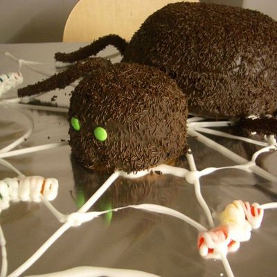 Halloween Spider